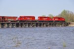 Beavers on the River